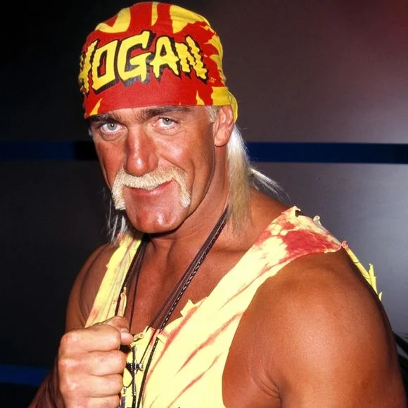 Hulk Hogan, doublé en version française par Michel Vigné