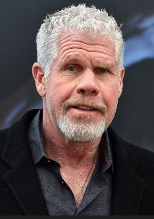 Ron Perlman, doublé en version française par Michel Vigné